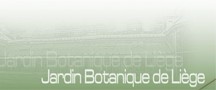Botanic Garden Liège