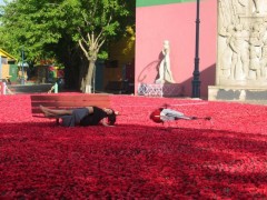 Flying-Cam, Close Range Aerial Filming, Flower by Kenzo